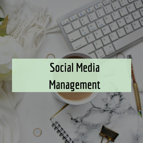 Social-Media-Management-Icon